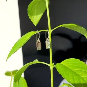 Small abalone earrings, Silver